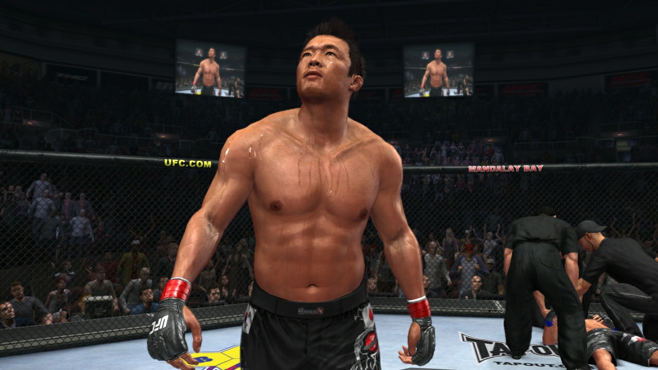 UFC Undisputed 2010 - Imagen 16